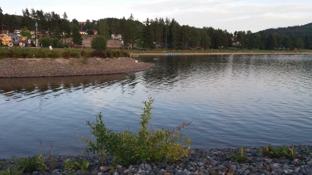 شقة Riviera Lipno 510/13 ليبنو ناد فلتافو المظهر الخارجي الصورة